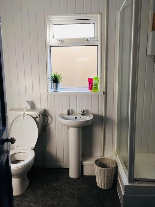 Hillcrest Cottage, Comfy Flat, Trendy Uplands Area 스완지 외부 사진